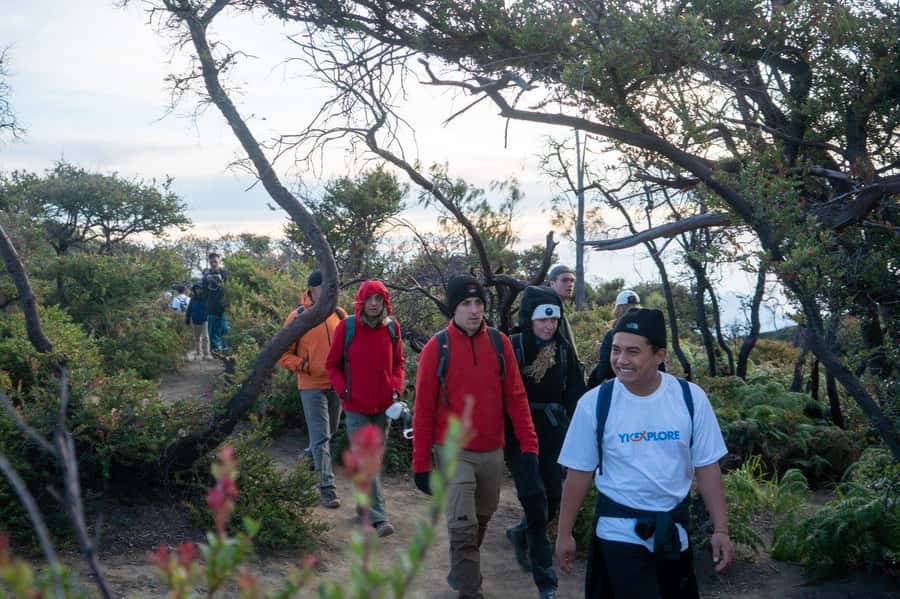 From Banyuwangi: Day Trip to Ijen Volcano with Guided Trek - Blue flames are the main event, but availability is not guaranteed