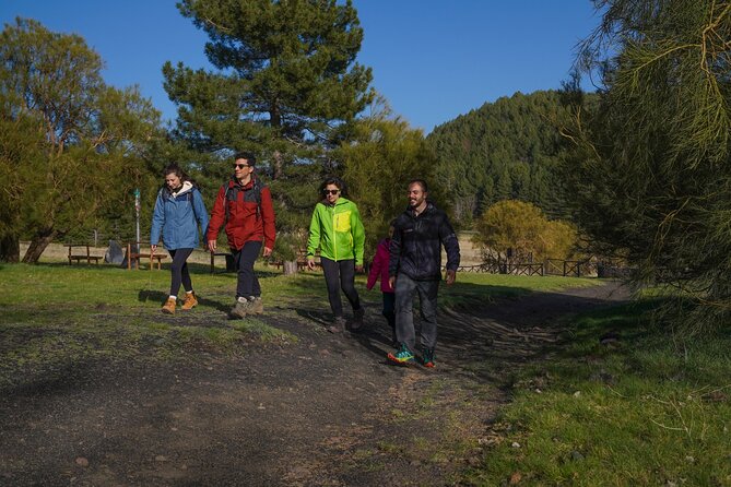 From Catania: Private mt. Etna trekking and pic-nic - Getting there and back: pickup from Catania and shuttle return