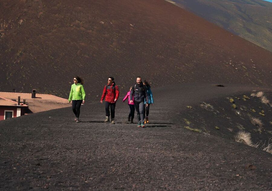 From Catania: trek on Mount Etna, Lava Cave & tasting Tour - The Ragalna tasting stop: honey, olive oil, wine, and the point of it