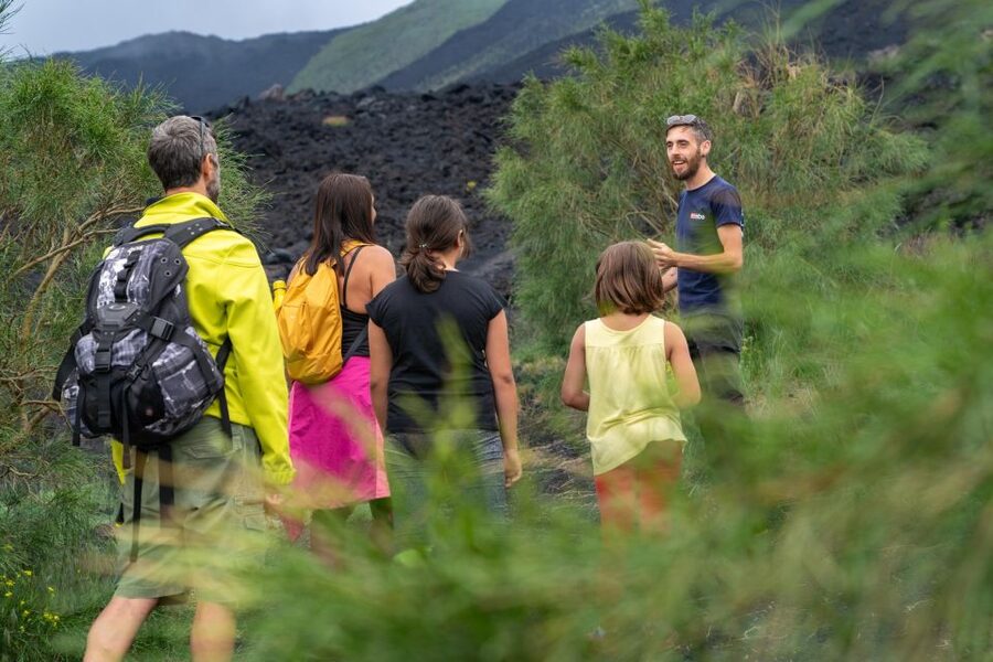 From Catania: trek on Mount Etna, Lava Cave & tasting Tour - Guides, language, and why a small group matters