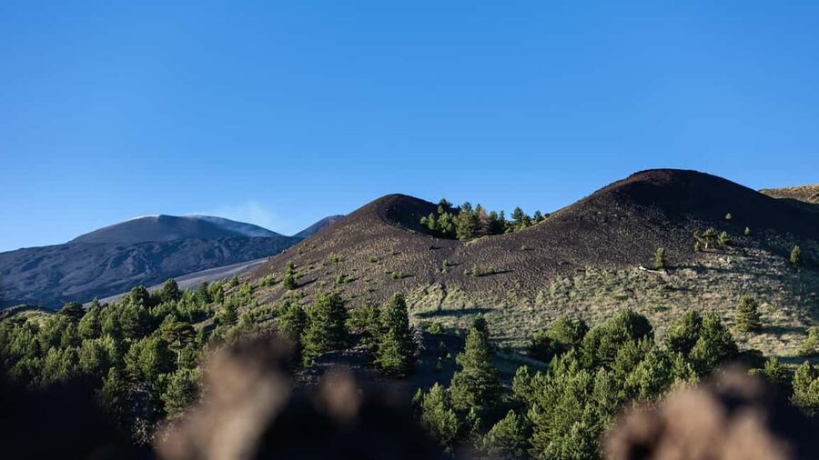 From Catania: trek on Mount Etna, Lava Cave & tasting Tour - Should you book this Mount Etna trek from Catania?