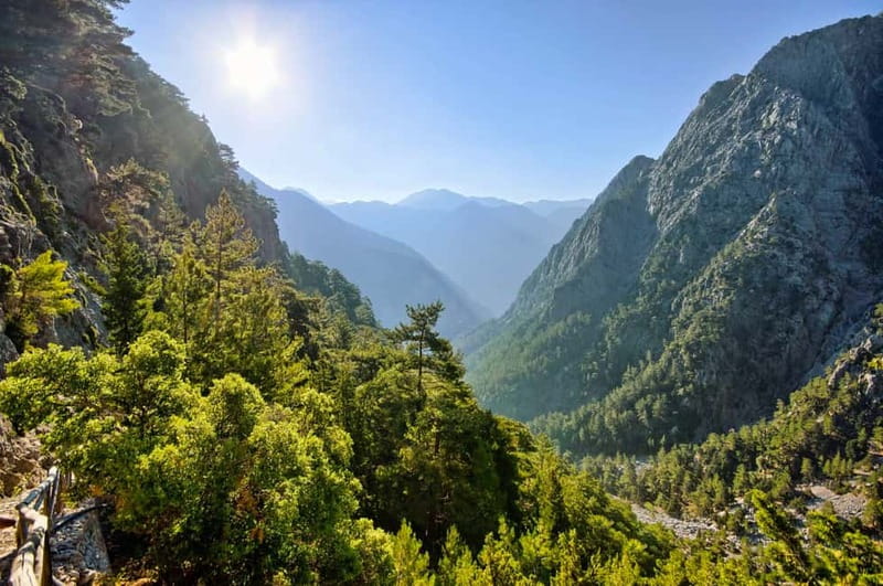 From Chania: Full-Day Samaria Gorge Trek Excursion & Guide - Ferry to Sougia and the ride back: the part that feels like a reward