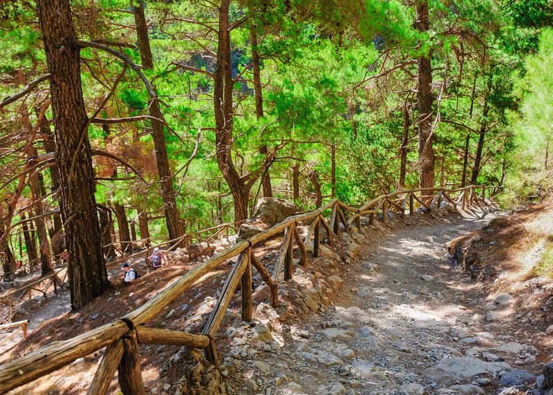 From Chania: Full-Day Samaria Gorge Trek Excursion & Guide - Price and value: $41 is mainly the transport plan (plus guidance)