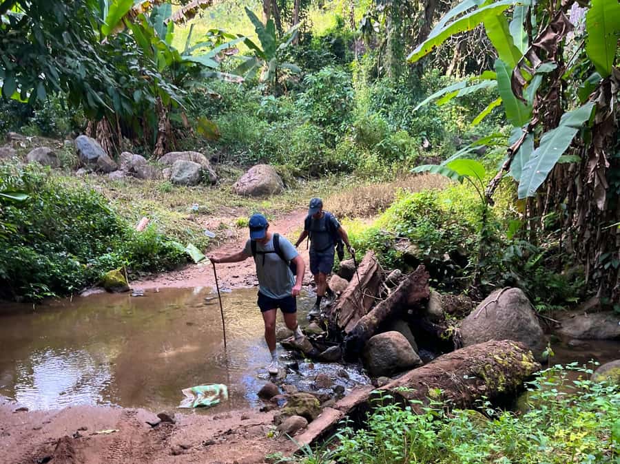 From Chiang Mai: High Mountain Day Trek - Quick hits before you go