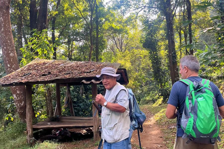 From Chiang Mai: High Mountain Day Trek - Entering the north: what makes this trek worth your day