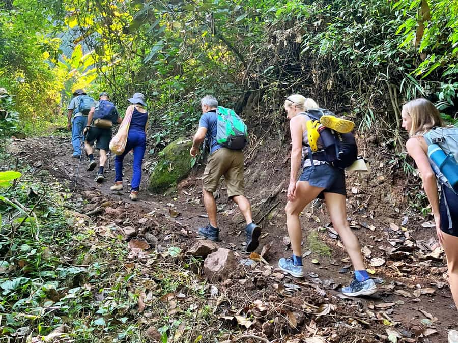 From Chiang Mai: High Mountain Day Trek - The hike itself: 4.5 km of real terrain, not a flat promenade
