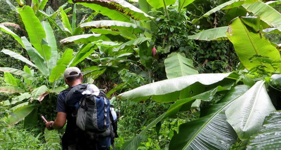 From Chiang Mai: High Mountain Day Trek - Guide energy: Sap, Ban, and why the right person changes everything