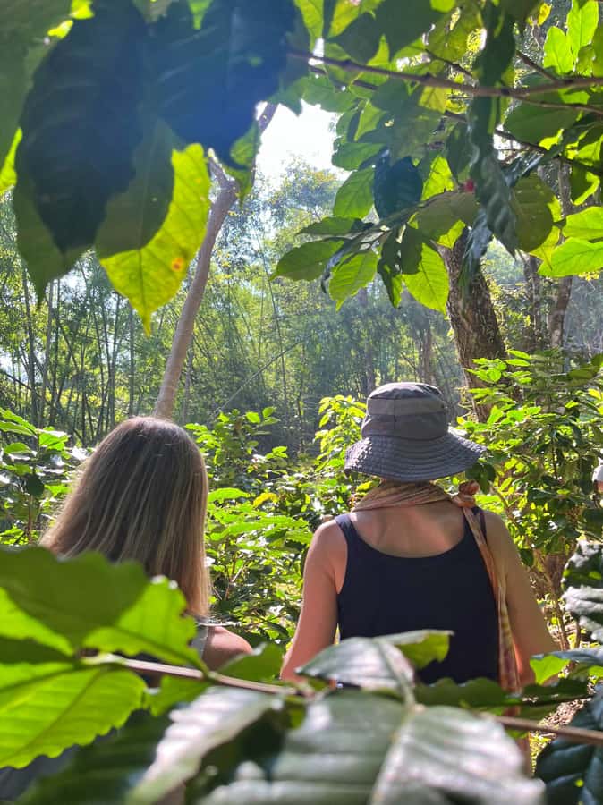 From Chiang Mai: High Mountain Day Trek - Wat Ban Den: a quick cultural reset before the ride home