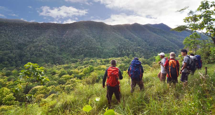 From Chiang Mai: High Mountain Day Trek - The drive from Chiang Mai to the trailhead (and why timing can shift)