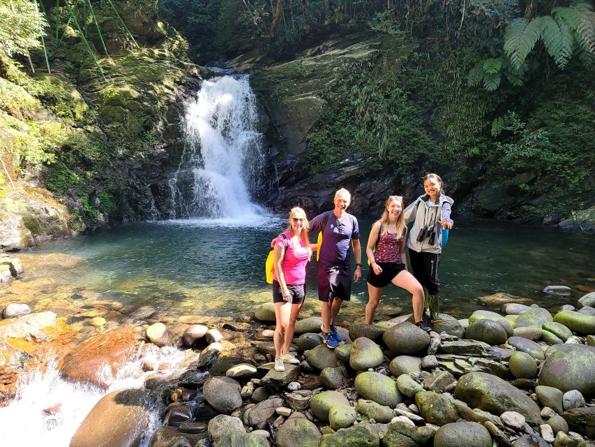 From Da Nang or Hoi An: Bach Ma National Park Trek & Lunch - Should you book this Bach Ma trek with lunch?