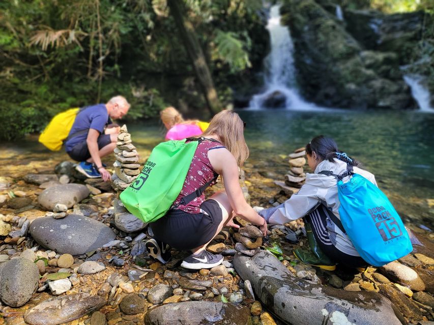 From Da Nang or Hoi An: Bach Ma National Park Trek & Lunch - Do Quyen Waterfall: steep, rugged, and worth the climb (even if it’s foggy)