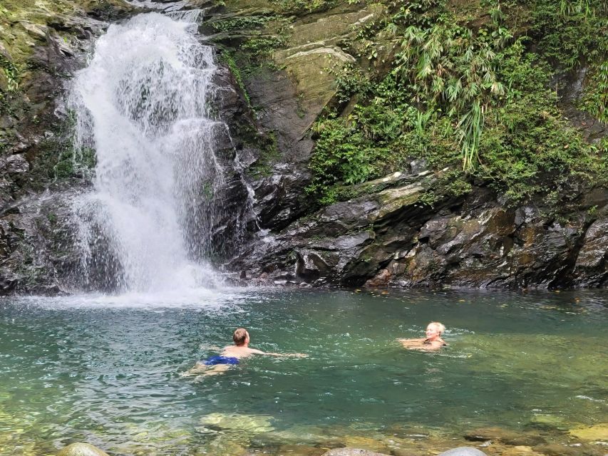 From Da Nang or Hoi An: Bach Ma National Park Trek & Lunch - Vong Hai Dai and Hai Vong Dai (Bach Ma Peak): your payoff at 1,448m