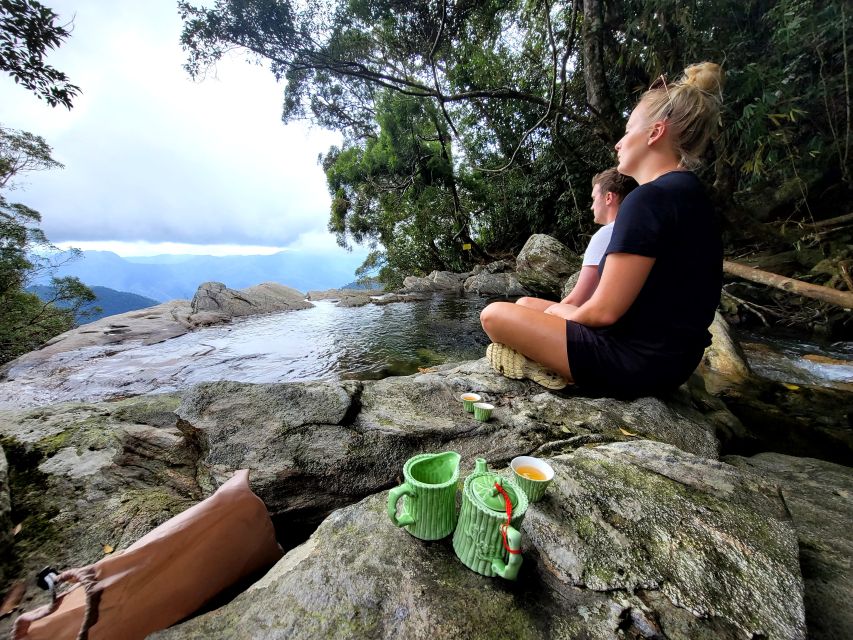From Da Nang or Hoi An: Bach Ma National Park Trek & Lunch - Lunch, tea, and those small extras that make trekking easier