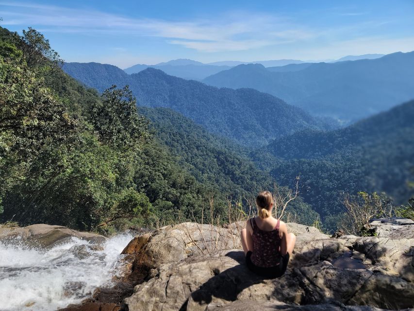 From Da Nang or Hoi An: Bach Ma National Park Trek & Lunch - Nature walk plus the wartime echoes you might spot along the way