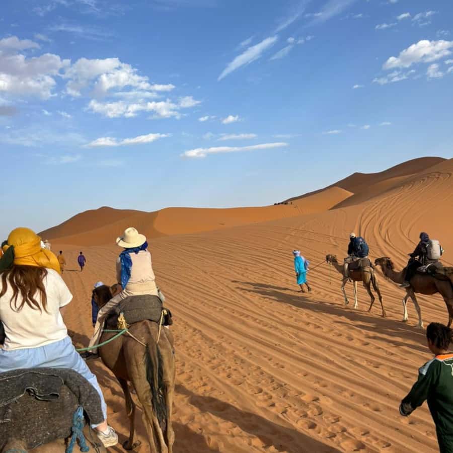 From Fes: 2 Day Round Trip Via Merzouga Desert & Camel Trek - Sandboarding: the included activity people tend to remember