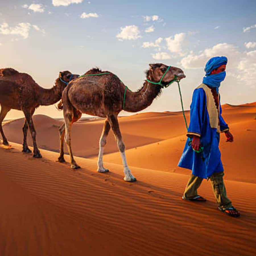 From Fes: 2 Day Round Trip Via Merzouga Desert & Camel Trek - How the 2 days from Fes to Merzouga actually feel