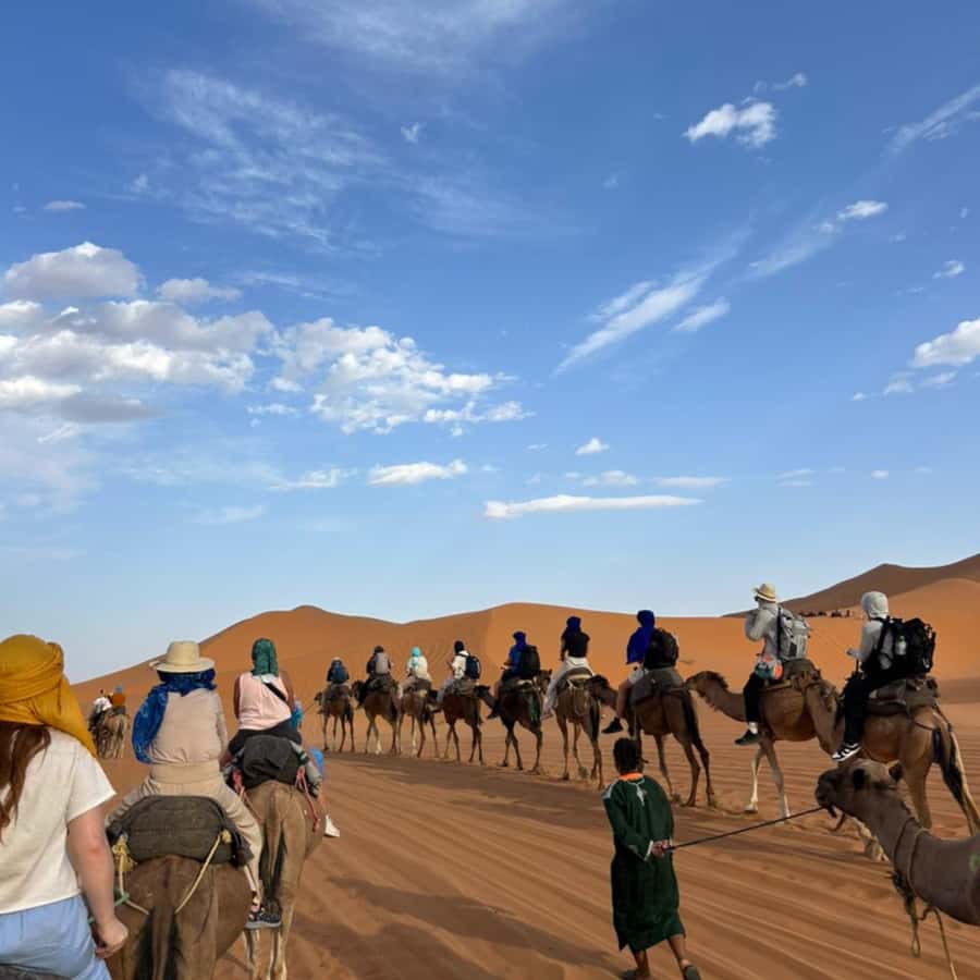 From Fes: 2 Day Round Trip Via Merzouga Desert & Camel Trek - Cedar forest wildlife in the Middle Atlas (and how to do it right)