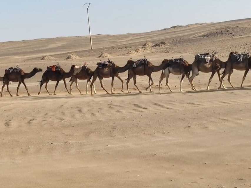 From Fes: 2 Day Round Trip Via Merzouga Desert & Camel Trek - The Merzouga transfer: storing luggage and switching modes