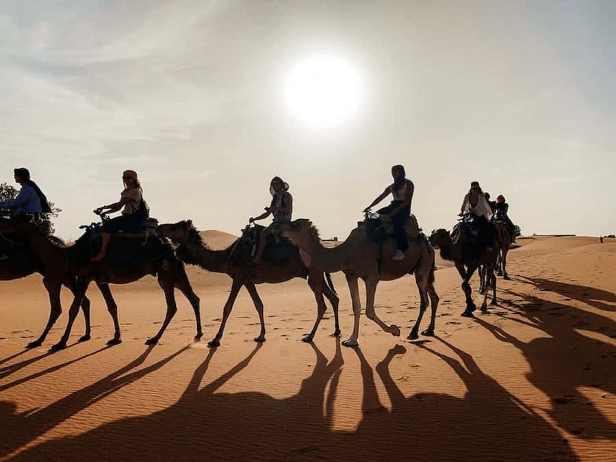 From Fes: 2 Day Trip to Marrakech via the Desert& Camel Trek - Key Things You’ll Notice on This Fes–Marrakech Desert Trek