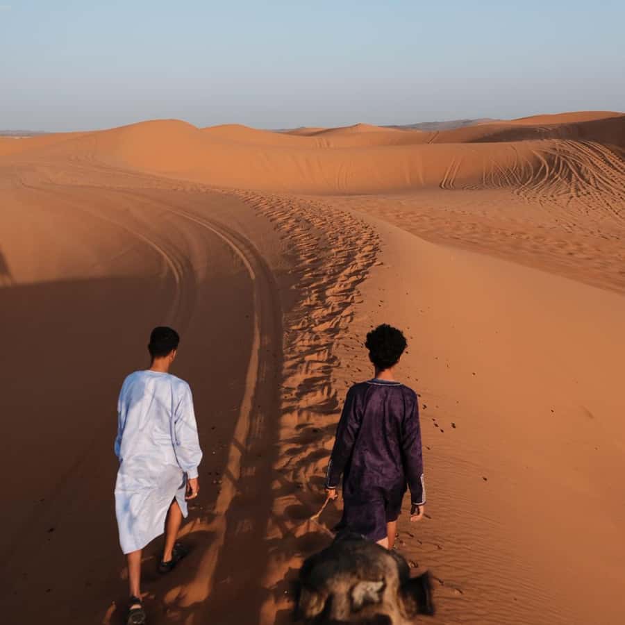 From Fes: 3 Day Magical Desert Camel Trek To Marrakech - Key Takeaways