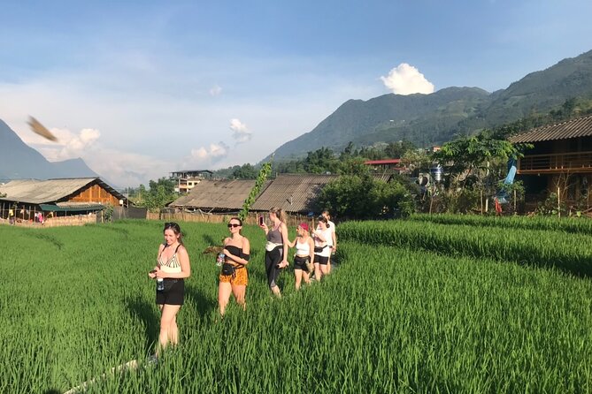 From Hà Nội : Sapa trek with local guide 2 days 1 night - Key Highlights You’ll Want to Know Before You Go