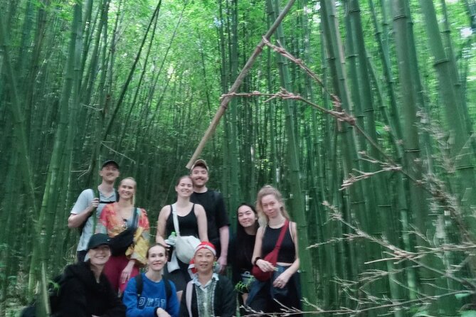 From Hà Nội : Sapa trek with local guide 2 days 1 night - Weather Reality Check: Fog, Cold Nights, and Waterfall Timing