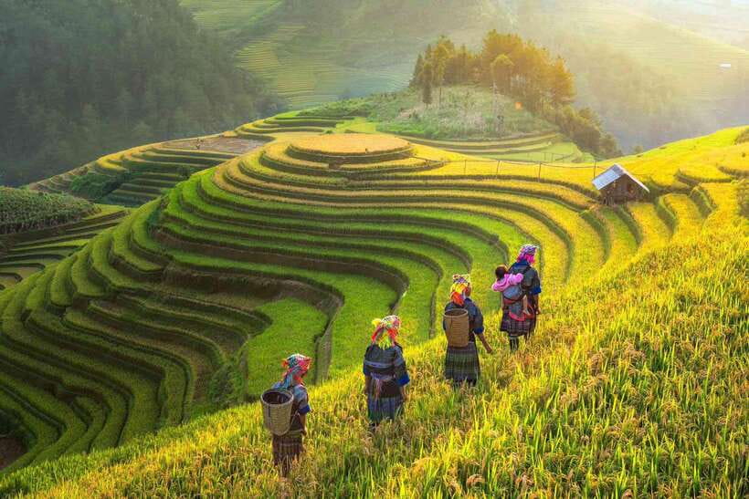 From Hanoi: 1-day Sapa Trekking Tour With Overnight Bus - Guide-led pacing in fog and mud