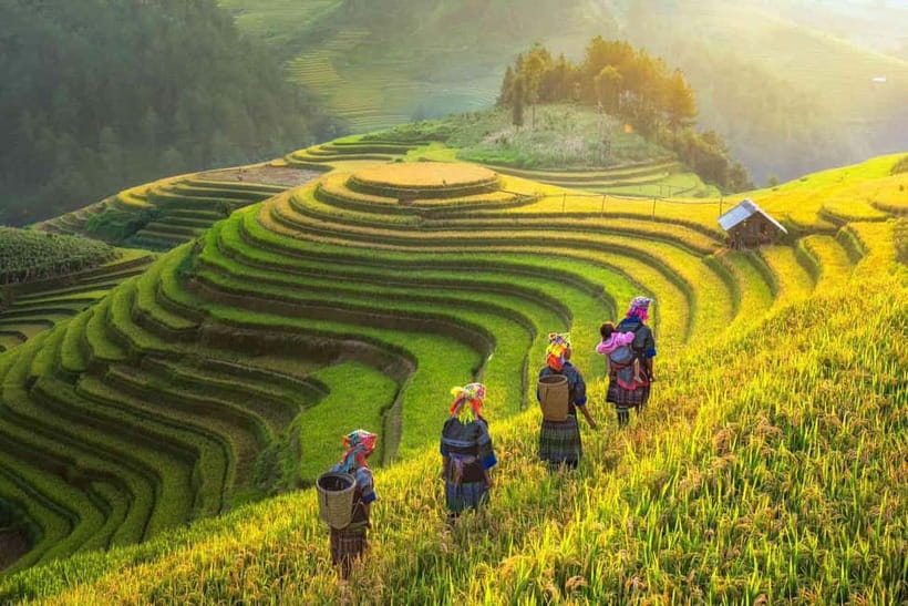 From Hanoi: 2-Day Luxury Sapa Trekking Tour with Homestay - Lunch in Ta Van, then a real break (not just time on a bench)