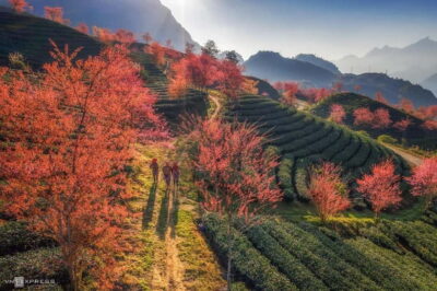 From Hanoi: 2-Day Luxury Sapa Trekking Tour with Homestay - Day 1 walk: Y Linh Ho to Lao Chai with Black H’mong village life