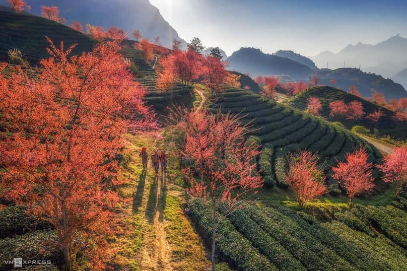 From Hanoi: 2-Day Luxury Sapa Trekking Tour with Homestay - Day 1 walk: Y Linh Ho to Lao Chai with Black H’mong village life