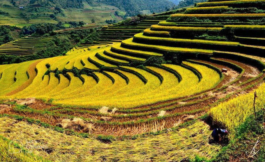 From Hanoi: 2-Day Sapa-Fansipan Peak & Trek & Ha Giang Bus - Back to Hanoi or onward to Ha Giang: pick your next move