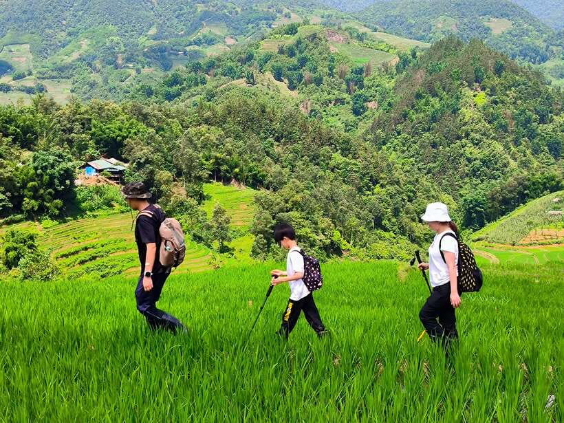 From Hanoi: 2-Day Sapa Trek Tour - Luxury Limousine Transfer - Who This Trip Is Best For (and Who Should Skip the Treks)