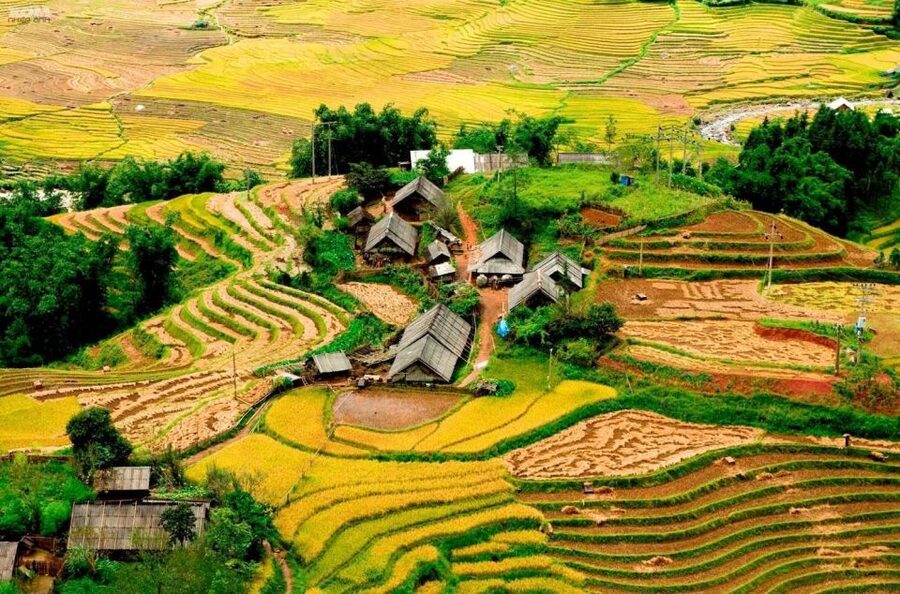From Hanoi: 2-Day Sapa Trekking Trip with Homestay & Meals - Sapa, But Slower: Why This Homestay Trek Works