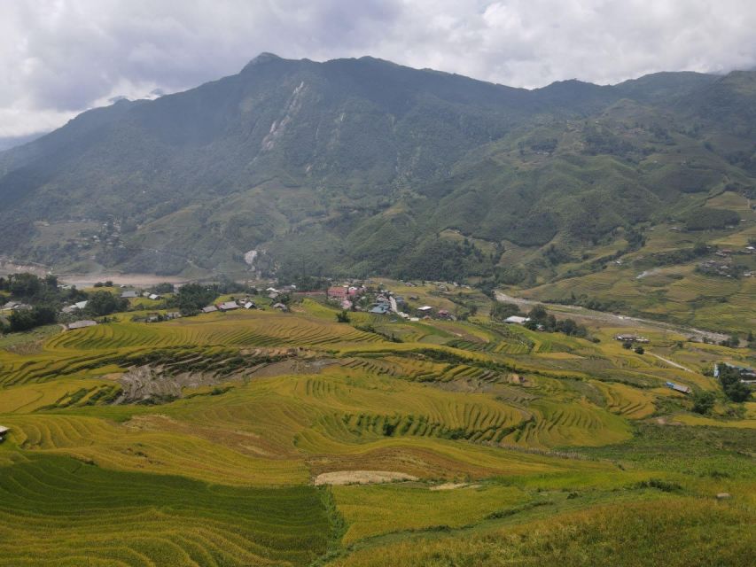 From Hanoi: 2-Day Sapa Trekking Trip with Homestay & Meals - Day 2: Ta Van Options, Bamboo Forest, and Early Breakfast Cooking