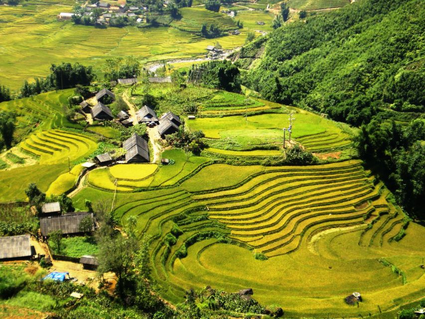 From Hanoi: 2-Day Sapa Trekking Trip with Homestay & Meals - Lunch Back in the Routine and Time to Explore Sapa Town