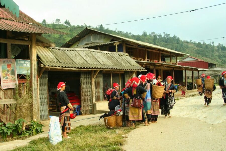 From Hanoi: 2-Day Trekking To Villages In Sapa with Homestay - Who this Sapa trek with Ta Van homestay is best for