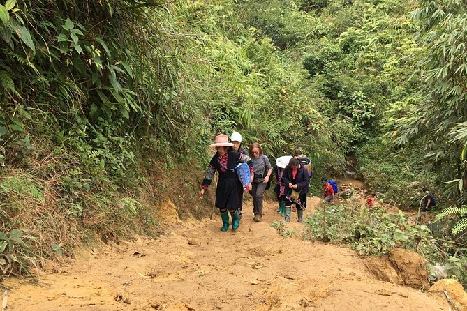 From Hanoi: 2 Days Sapa Trek & Fansipan Adventure with Dcar - Who This Sapa Trek Suits Best