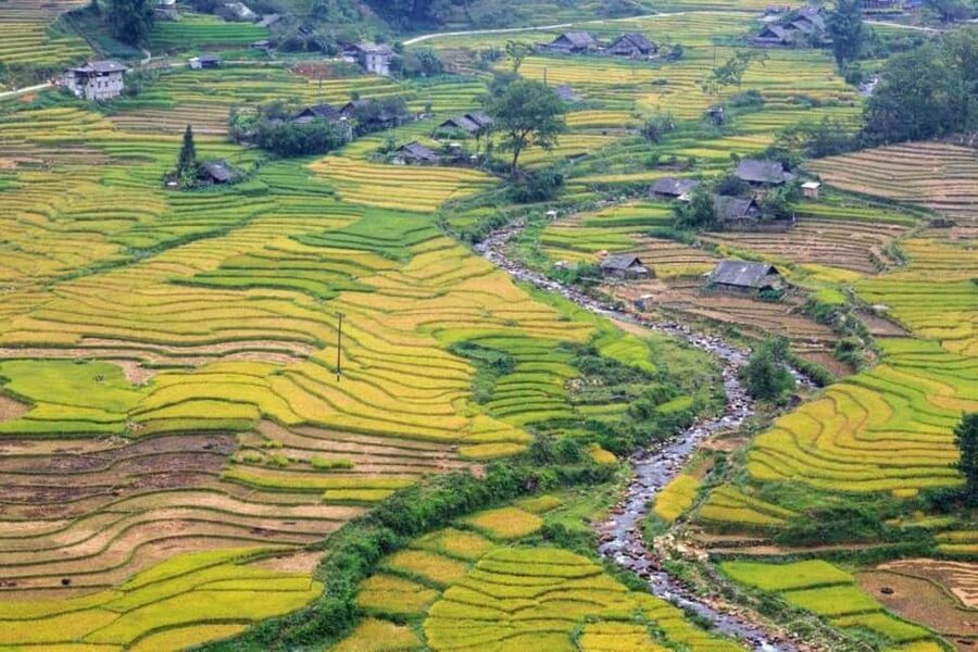 From Hanoi: 2-Days Sapa Trekking Tour Lao Chai and Cat Cat - Key highlights worth your attention