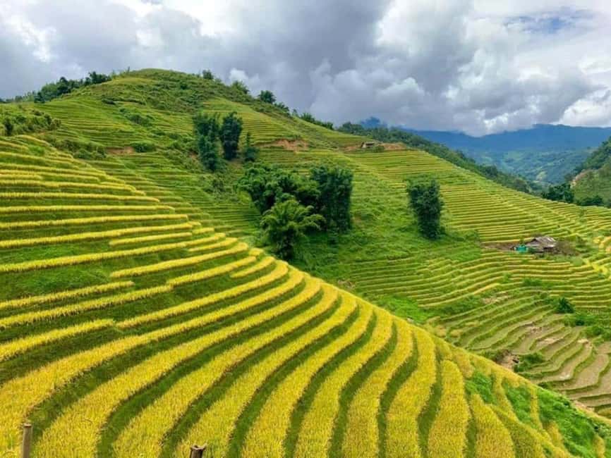 From Hanoi: 2-Days Sapa Trekking Tour Lao Chai and Cat Cat - Lodging and comfort: hotel base vs homestay nights
