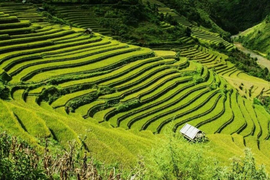 From Hanoi: 2-Days Sapa Trekking Tour Lao Chai and Cat Cat - Sapa by luxury limousine: comfort that matters on a trekking trip