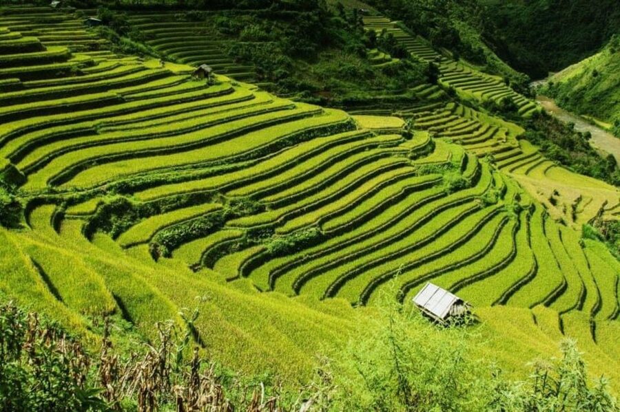 From Hanoi: 2-Days Sapa Trekking Tour Lao Chai and Cat Cat - Cat Cat village trek: the waterfall story is the payoff