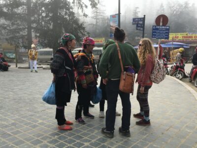 From Hanoi: 3-Day Sapa Trekking with Limousine Transfer - Day 1 in Sapa: Cat Cat Village and a 4 km Descent That Sets the Tone