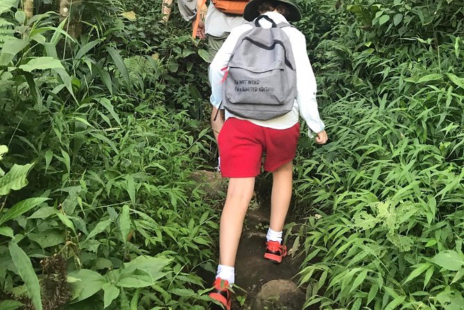 From Hanoi: 3 Days Luxury Sapa Trek & Fansipan Peak with Dcar - Should you book this Sapa trek and Fansipan plan?