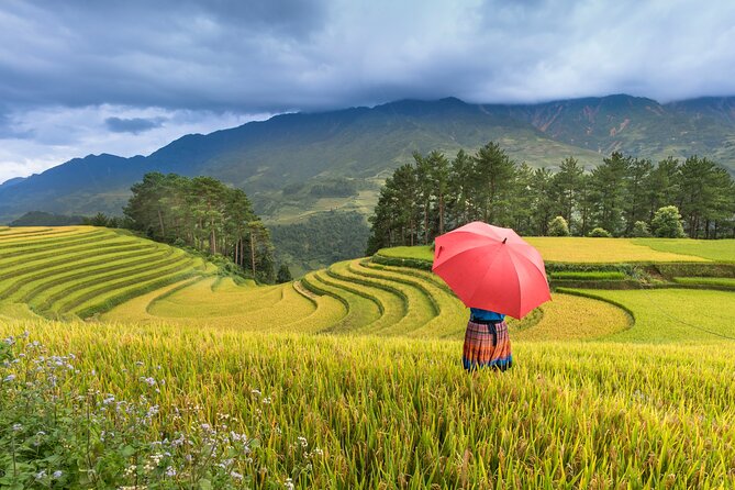 From Hanoi: 3 Days Sapa Trekking & Ethnic Villages by Dcar - Day 2 Trek to Cat Cat Village and Your Fansipan Choice