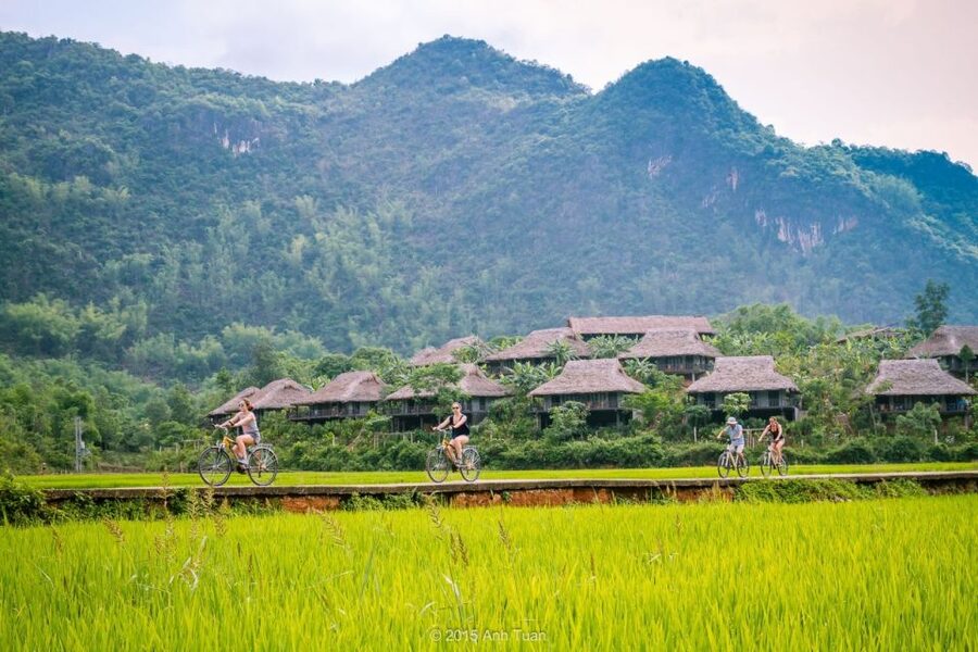 From Hanoi: Mai Chau Valley & Hill Tribes 2-Day Trek Tour - White Thai Homestay Night: Food, Dance, and ruou can
