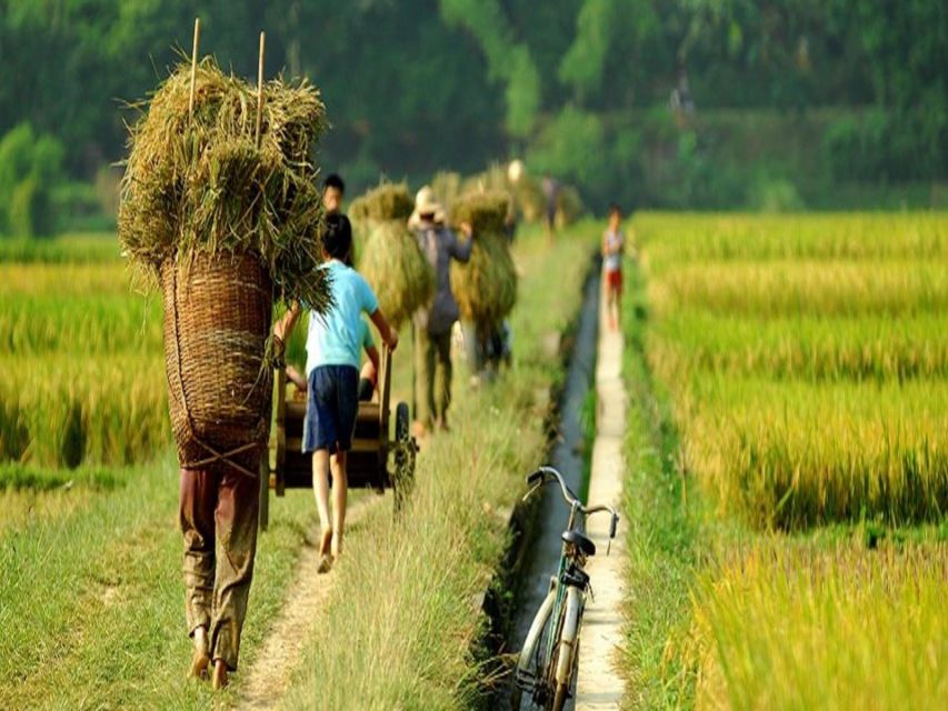 From Hanoi: Mai Chau Valley & Hill Tribes 2-Day Trek Tour - Trekking to Na Meo, Na Mo, and Xam Pa Villages