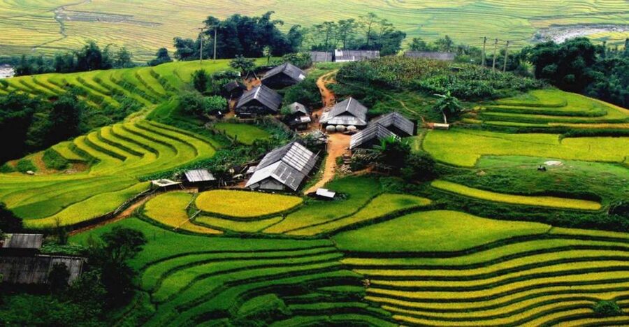 From Hanoi: Sapa 3-Day Medium Trek and Limousine Trip - Day 3 in the Red Zao area: terraces, bamboo forest, and a waterfall pause