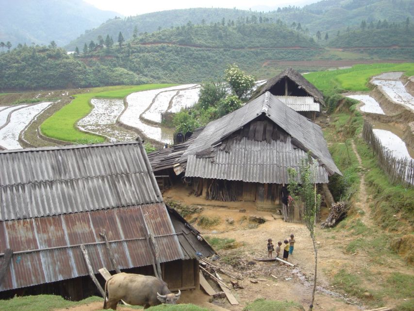 From Hanoi: Sapa 3-Day Medium Trek and Limousine Trip - Guide quality: why Jo, Ai, and May made the difference