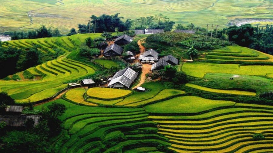 From Hanoi: Sapa 3-Day Medium Trek and Limousine Trip - Day 2 through Muong Hoa Valley: Y Linh Ho, Lao Chai, and Ta Van