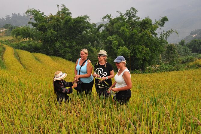 From Hanoi : Sapa Moutain Trek - Halong bay Heritage - Day 1: Hanoi Bus to Sapa, Lunch, and a Black H’mong Village Walk